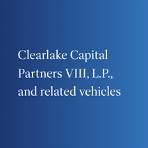 Partners VIII
